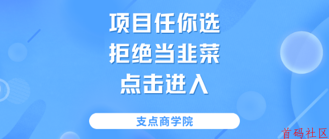 【支点商学院】互联网搞钱项目库，10000+项目任你选，拒绝当韭菜，告别信息差