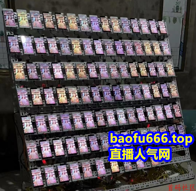 抖音直播人气挂铁快手点赞挂假人小红书视频号有效粉丝黑科技网站